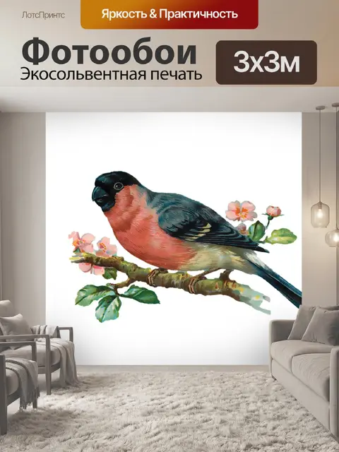 Фотообои Снегирь птица винтажное искусство