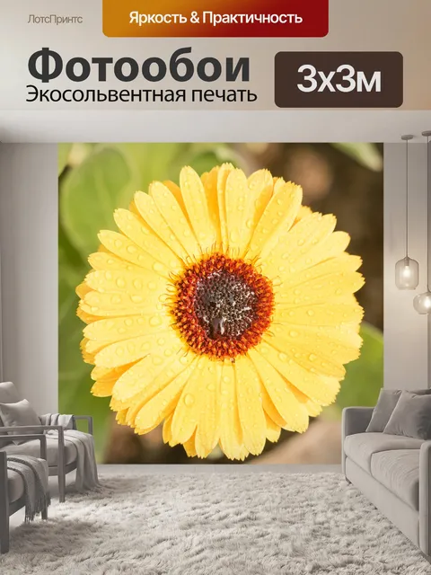 Фотообои Английский календулы