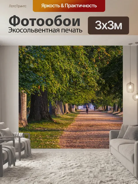 Фотообои Дорожка