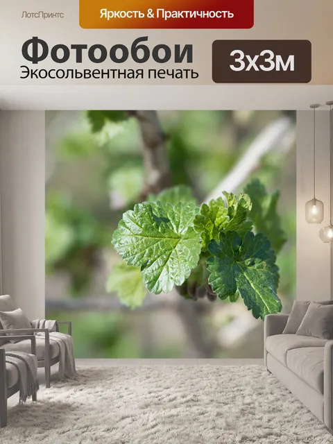 Фотообои Листья