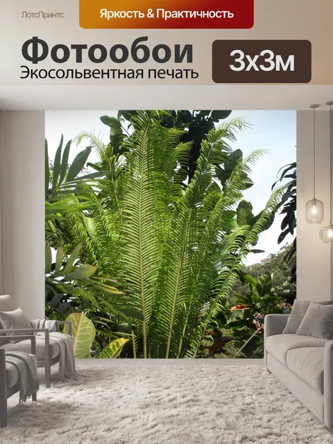 Фотообои Cycad и другие субтропические растения