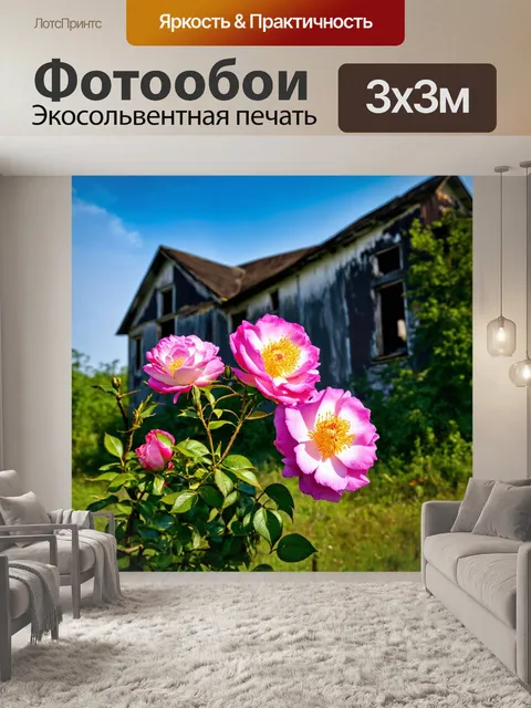 Фотообои полевые розы на фоне старого заброшенного дома