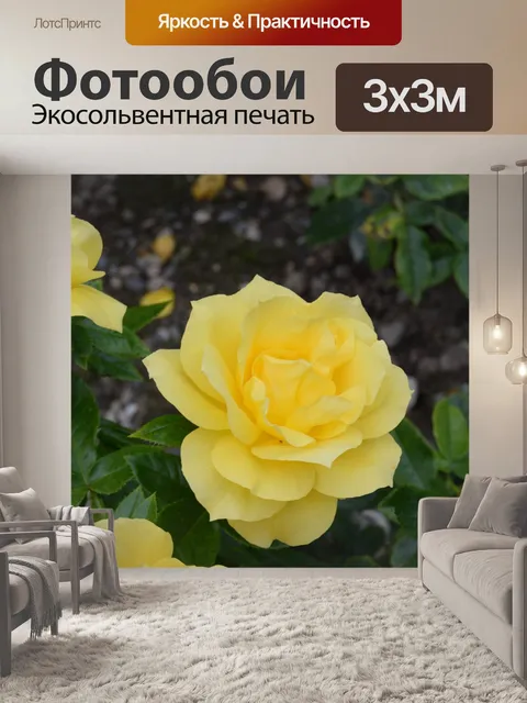 Фотообои Желтые розы