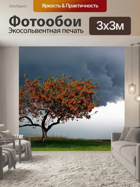 Фотообои на фоне грозного неба старое абрикосовое дерево усыпано спелыми поцелуями; юйные техники помогают передать…