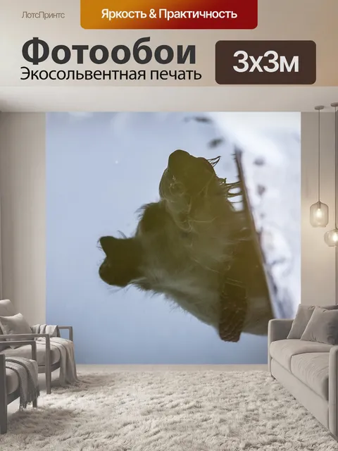 Фотообои Собака