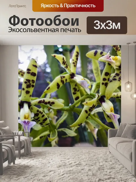 Фотообои Орхидея с крапинками