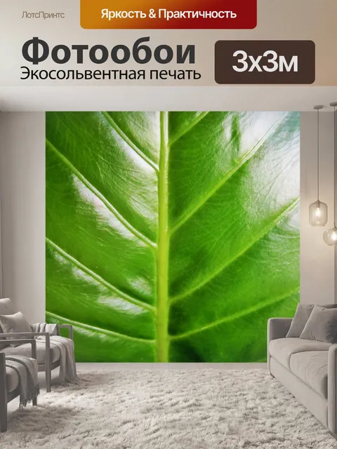 Фотообои Большой лист с прожилками