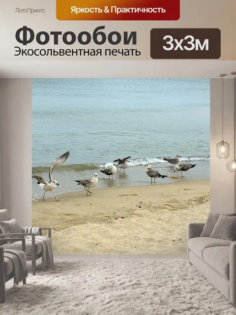 Фотообои Чайки