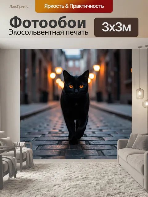 Фотообои Черный кот на ночной улице
