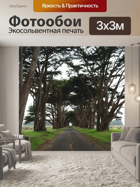 Фотообои Дорога