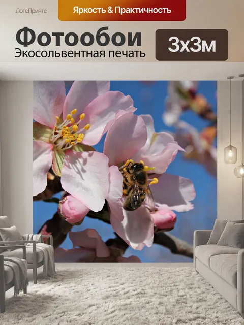 Фотообои Пчела