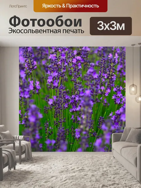 Фотообои Лаванда