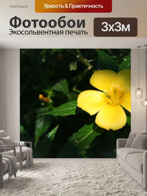 Фотообои Коста-Рика Цветы