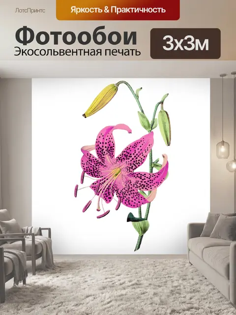 Фотообои Цветок лилии розовый винтаж