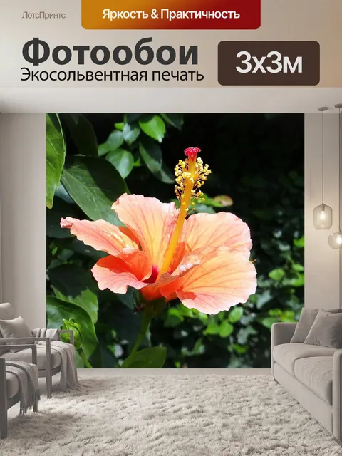 Фотообои Гибискус