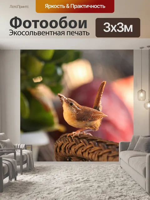 Фотообои Дом Wren Завтрак
