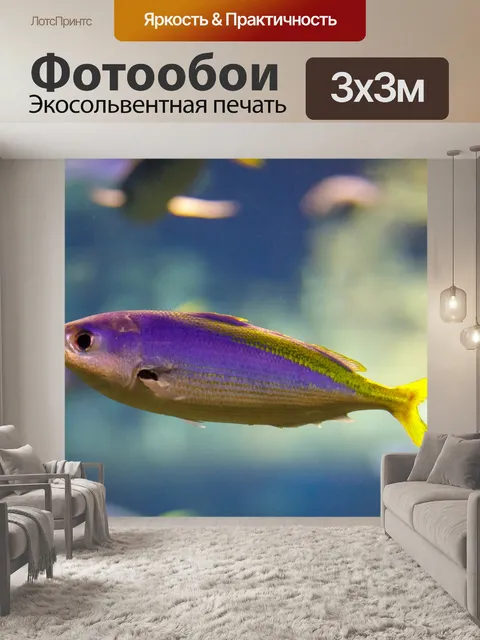 Фотообои Цезио терес