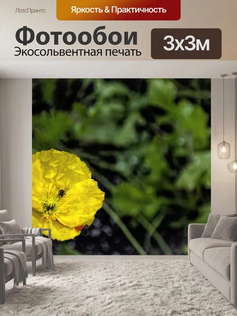 Фотообои Пчела в цветке Цинния