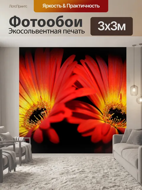 Фотообои Гербера Близнецы