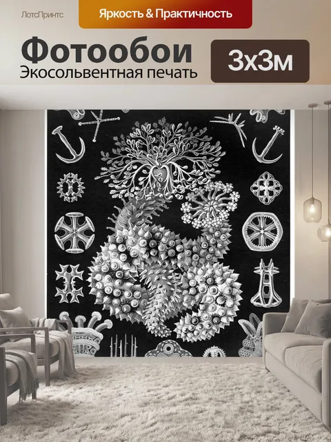 Фотообои Старинный старый Эрнст Геккель