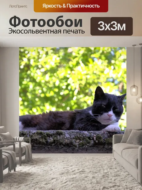 Фотообои Кошка