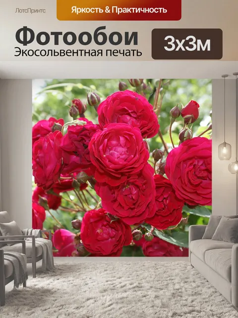Фотообои Красный Куст