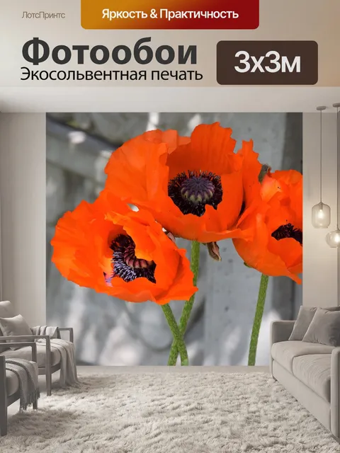 Фотообои Маки