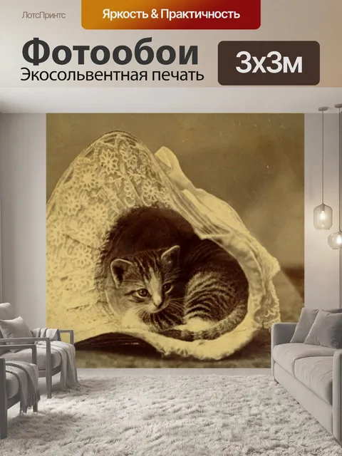 Фотообои Кот