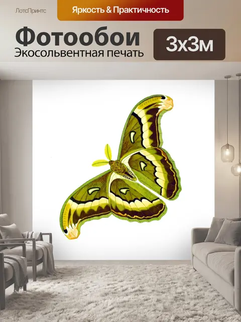 Фотообои Клипарт бабочка винтажное искусство