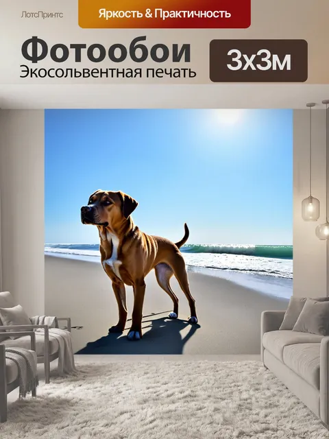 Фотообои лабрадор, стоящий на пустынном пляже, его силуэт контрастирует с ярким небом и морскими волнами