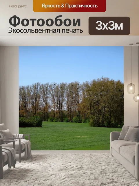Фотообои Мак домашний на рейне