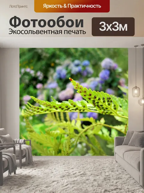 Фотообои листья папоротника со спорами
