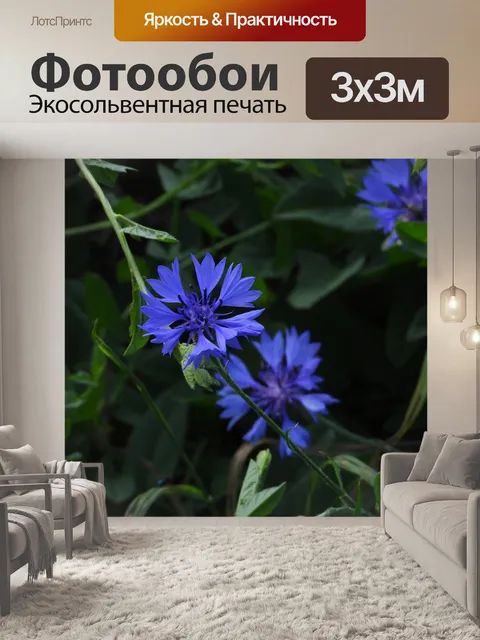 Фотообои Васильковый