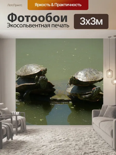 Фотообои Черепахи
