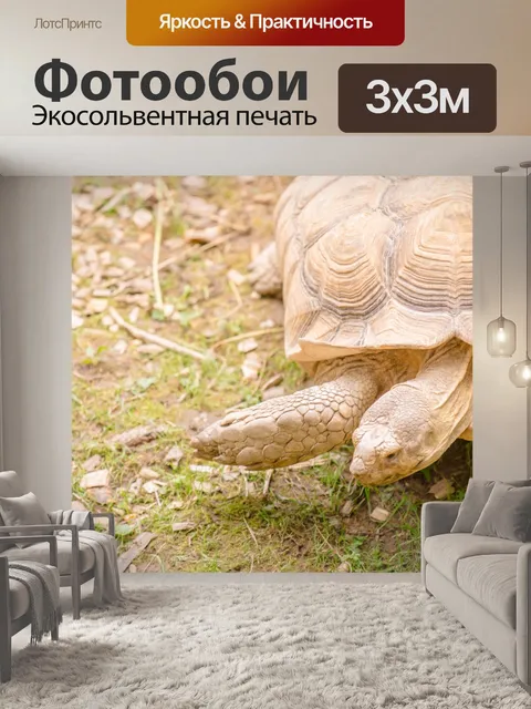 Фотообои Ходьба черепахи