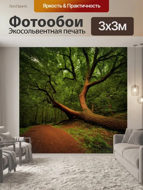 Фотообои загадочный лес с могучими деревьями, наклоняющимися под весом года