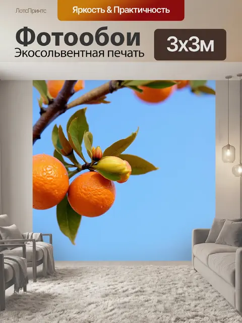 Фотообои оранжевый цвет: оранжевые древовидные почки во время ранней весны, пузырящиеся на фоне чистого неба