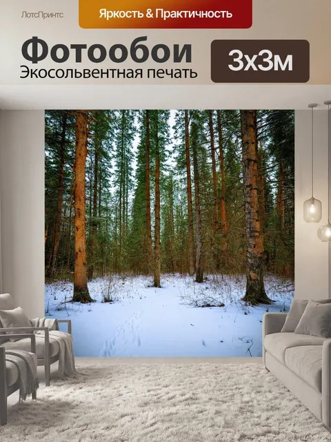 Фотообои природа в зимнем лесу
