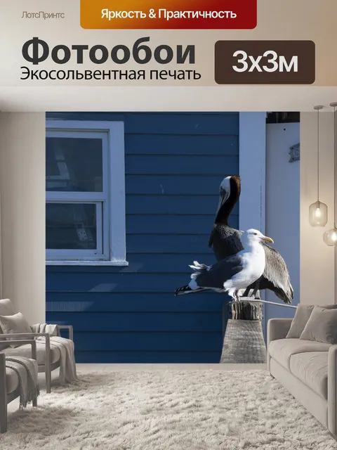 Фотообои пеликан и чайка