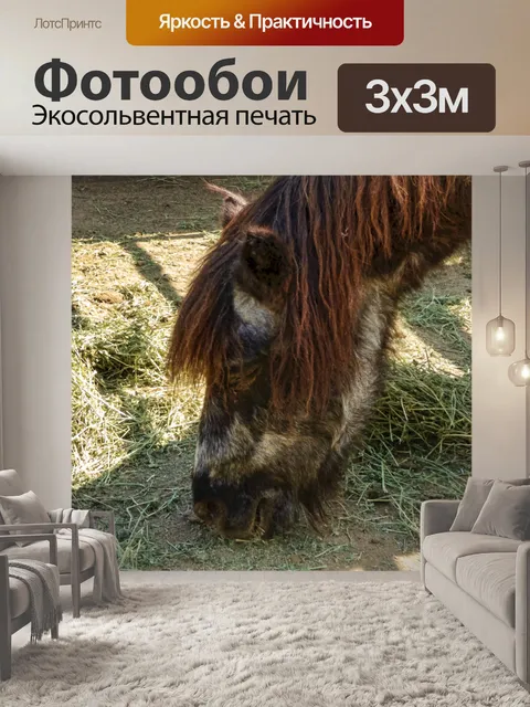 Фотообои Шетландский Пони