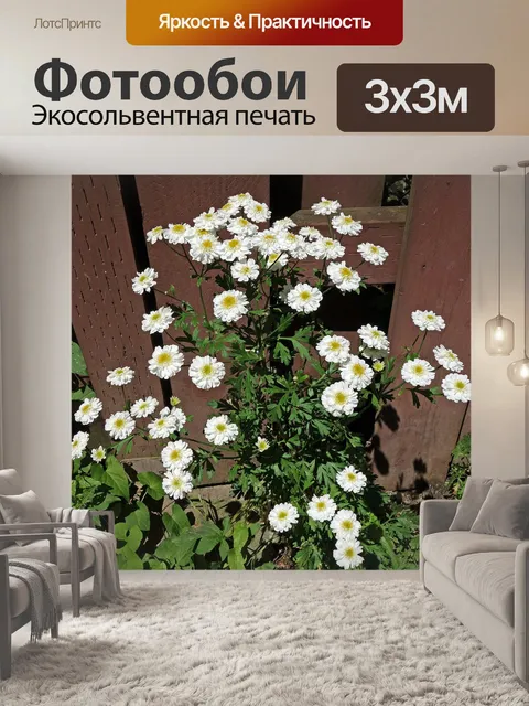Фотообои Маленькие белые цветы