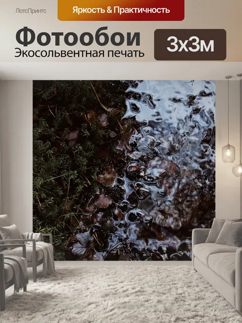 Фотообои Лужа