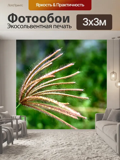 Фотообои Сухой дикий цветок