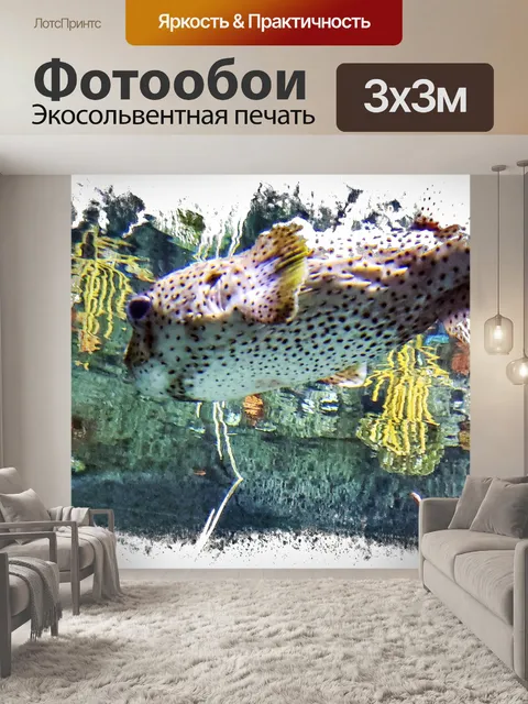 Фотообои Рыба фугу