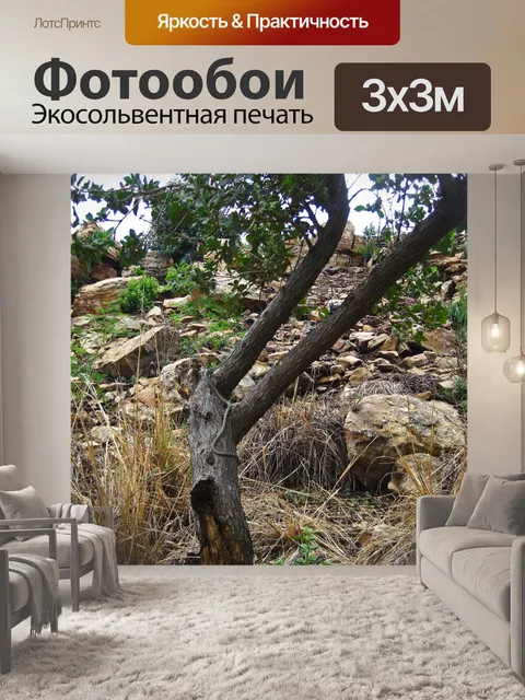 Фотообои Пятнистая кустовая змея на дереве