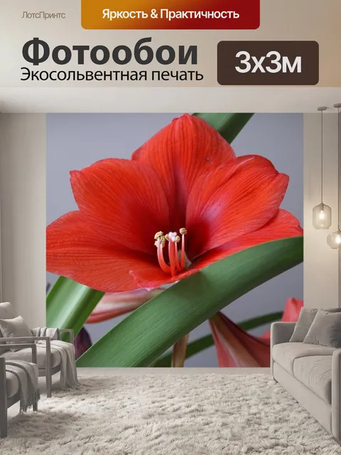 Фотообои Цветок