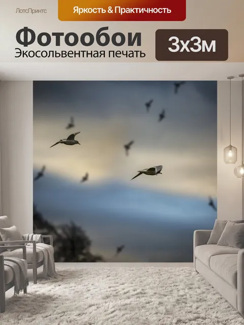 Фотообои Птицы летают