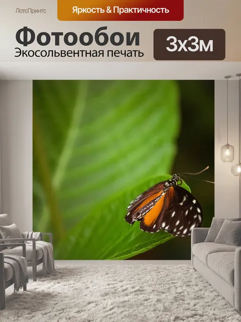 Фотообои Тропическая бабочка