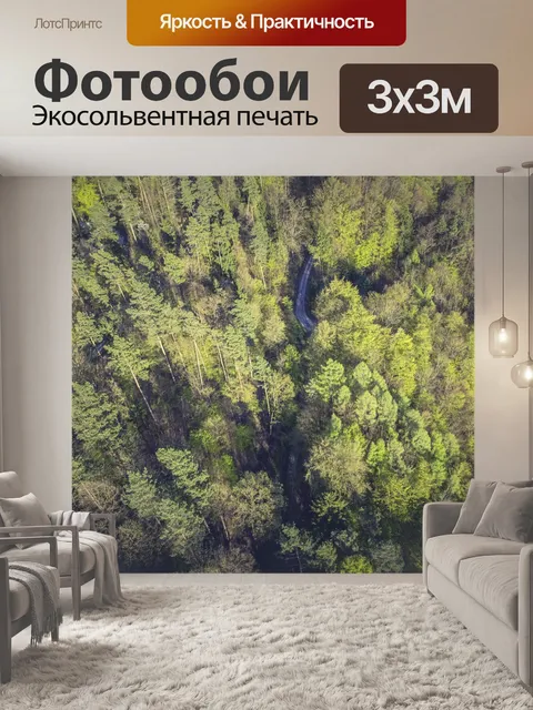 Фотообои Лес