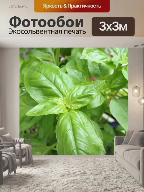 Фотообои Свежий